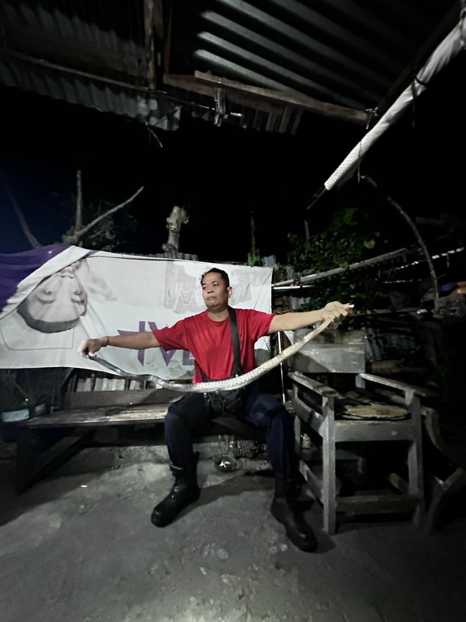 Ular Kobra Masuk Pekarangan Rumah Warga