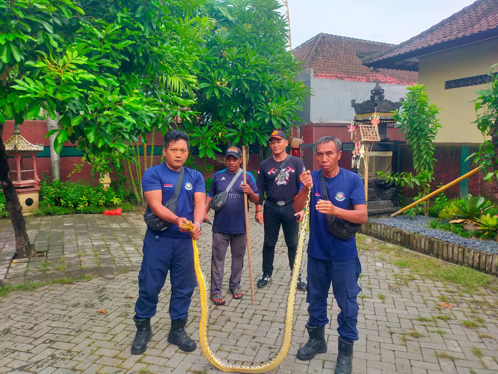 Ular Masuk Rumah Warga 