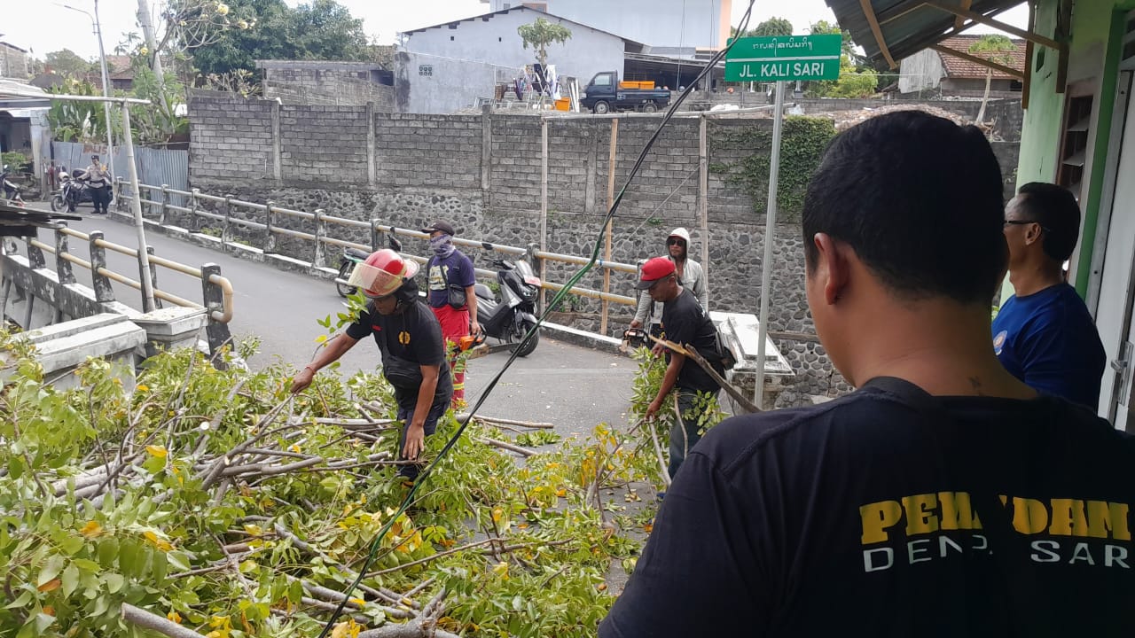 Akibat Angin Kencang 1 Unit Motor Sampah Terimpa Pohon 