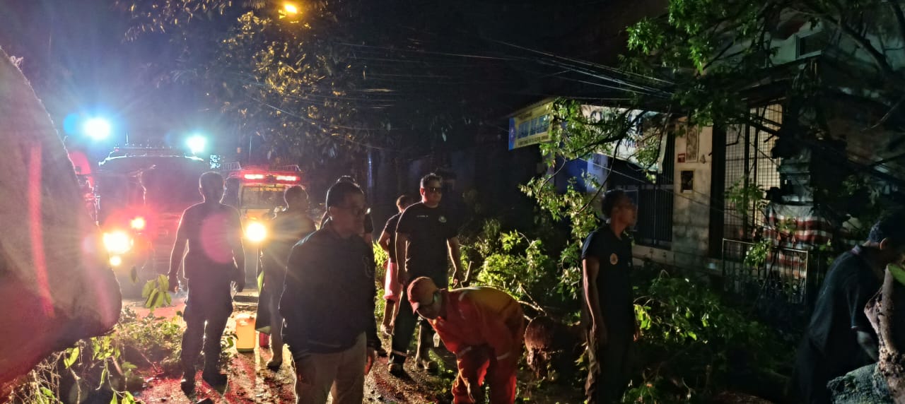 Hujan Lebat Disertai Angin Kencang Mengakibatkan Pohon Tumbang di Jalan Bukit Tunggal Denpasar 