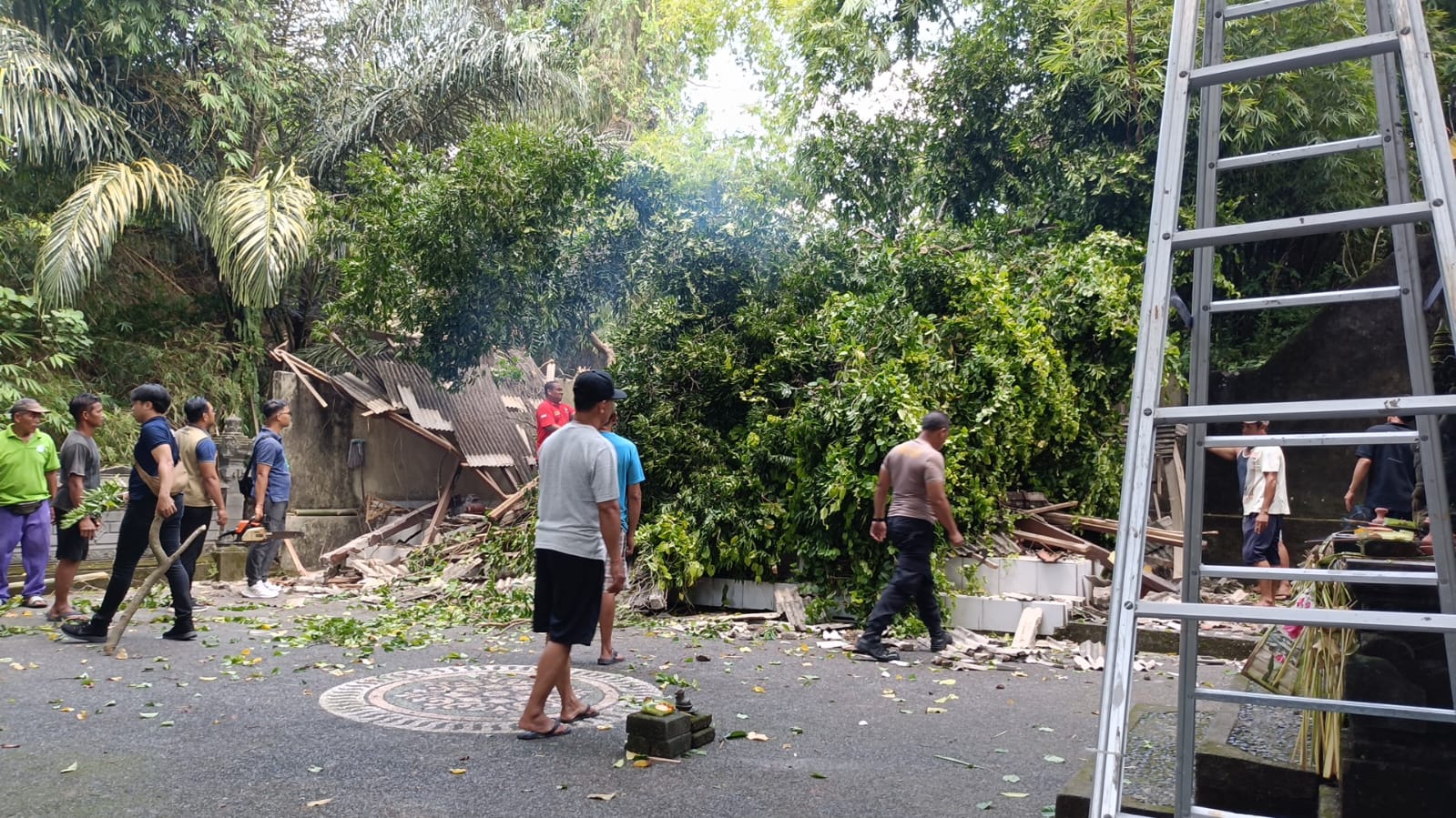 Penanganan Pohon Tumbang DI Peguyangan 