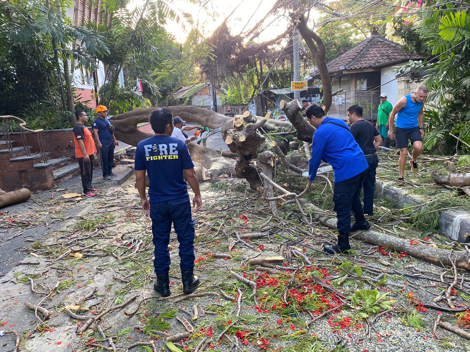 Akibat Cuaca Extrim salah Satu Pohon Tumbang Menghalangin Jalan 