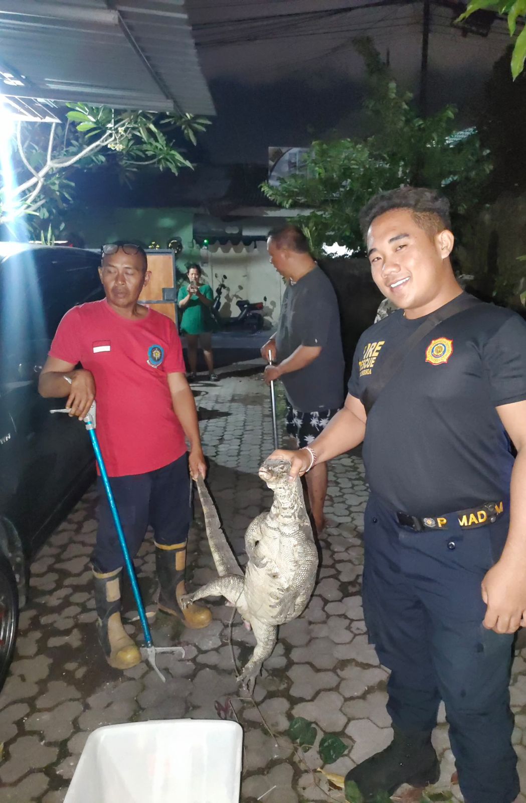 BIAWAK UKURAN BESAR RESAHKAN MASYARAKAT JL DOKTER GORIS DENPASAR 