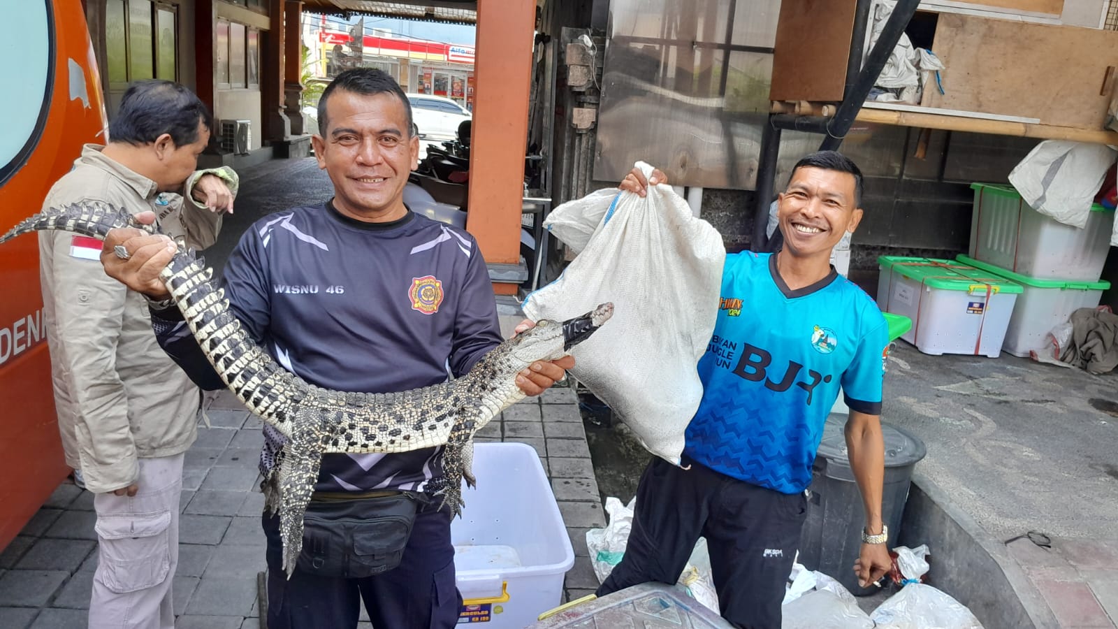 PENYERAHAN BUAYA LIAR YANG D TANGKAP DI JL TUKAD BADUNG 