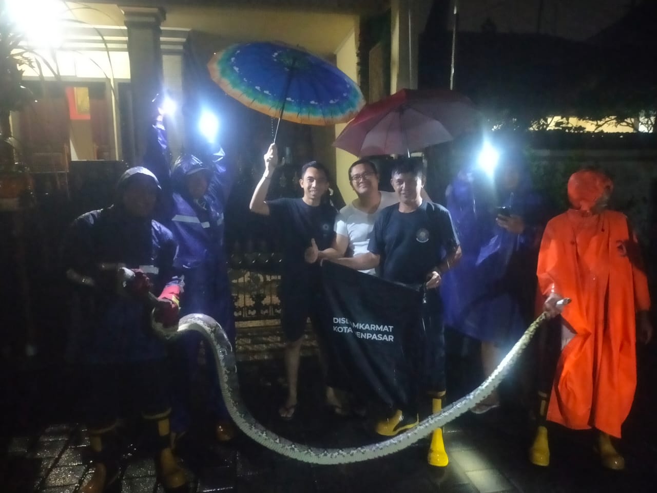 Evakuasi Ular Piton Jln Jayagiri  XXII/ No 10 A