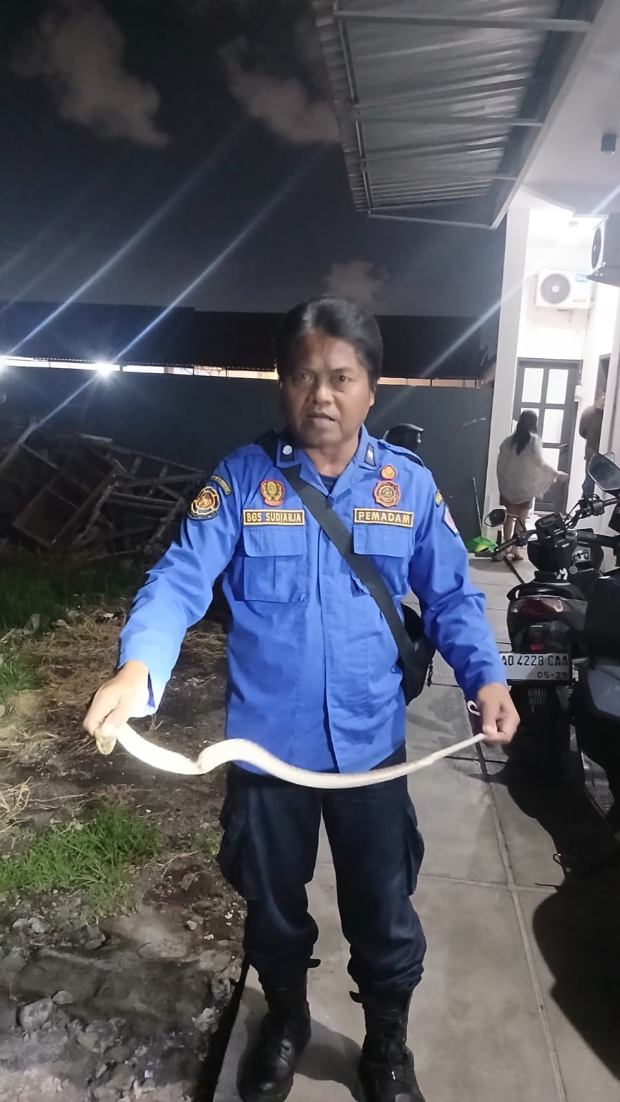 Warga Pemogan Geger, Ular  Masuk Rumah di Jalan Juwet Sari